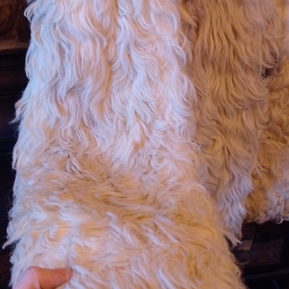 Rare Long-haired Raw Sheep Wool Jacket And Scarf Inuk Inuit 2009 - Picture 7 of 16